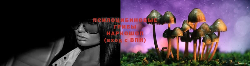 Галлюциногенные грибы Magic Shrooms  Бугульма 